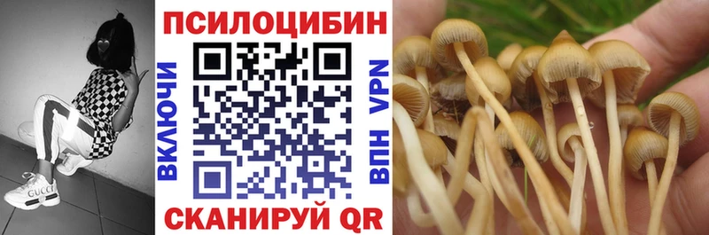 Псилоцибиновые грибы прущие грибы  где найти наркотики  Архангельск 